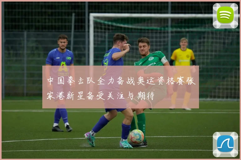 中国拳击队全力备战奥运资格赛张家港新星备受关注与期待